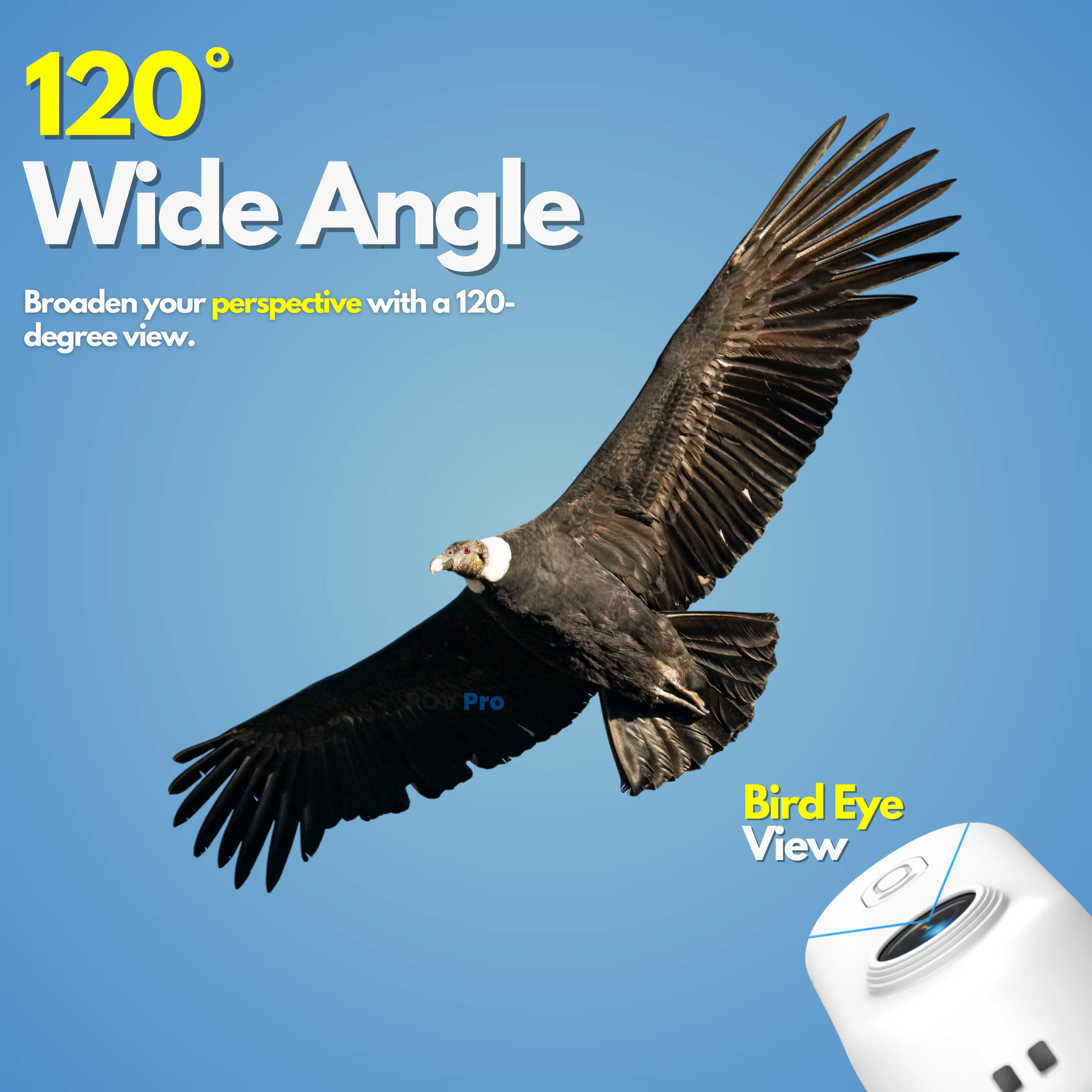 Bundle & Save : Pack Of Two - Image 22